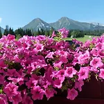 Viktoria 3* Ždiar